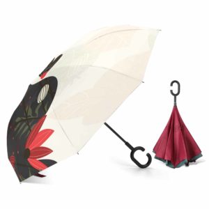 Umbrella